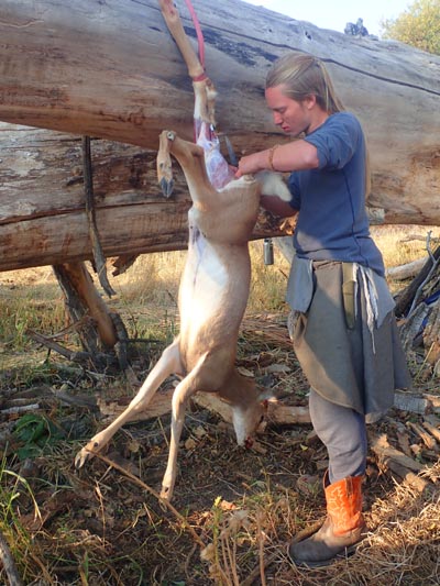 Butchering a roadkill deer.