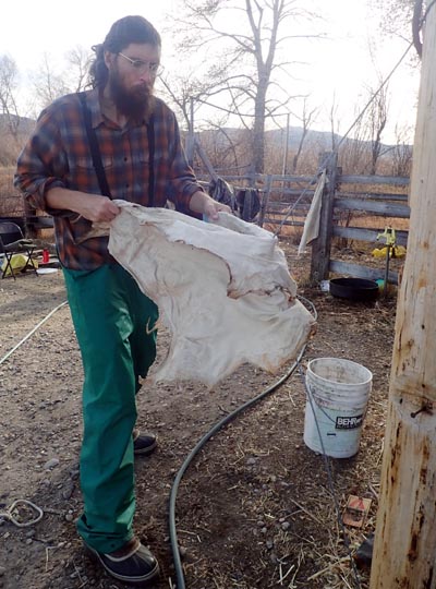 Cabling a deer hide.