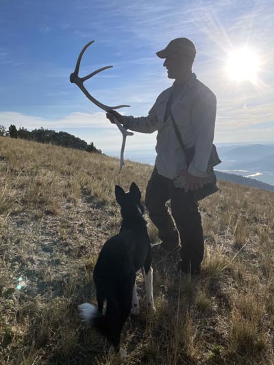 An elk antler found on a mountain.