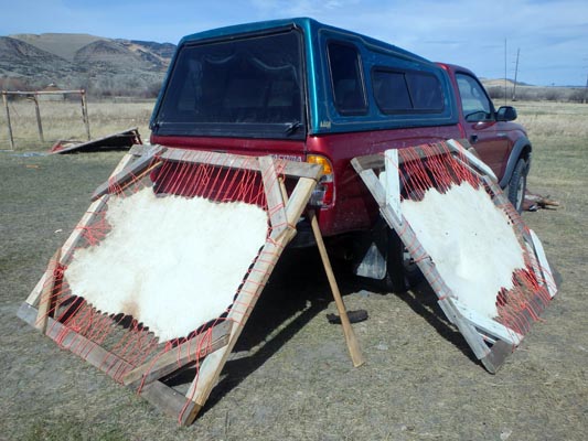 Hide softening frames leaning against truck.